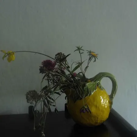 Piccolo Di Charme Appartement