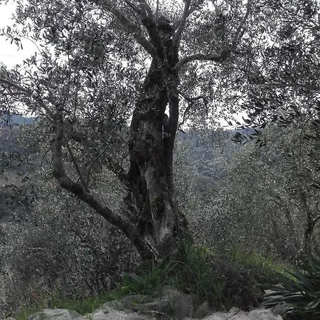 Piccolo Di Charme Appartement Apricale