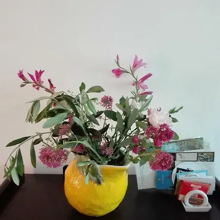 Piccolo Di Charme Appartement